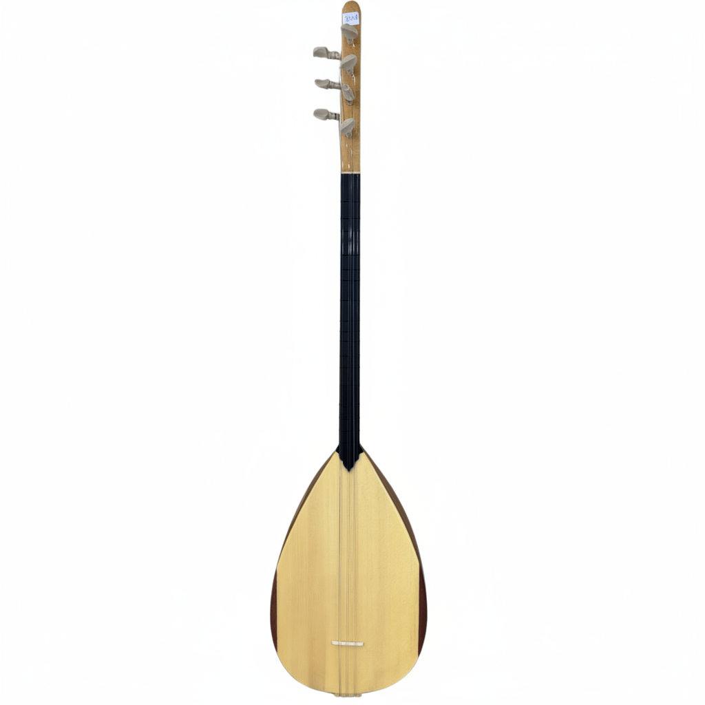 Two stringed instruments with a carrying case on a white background