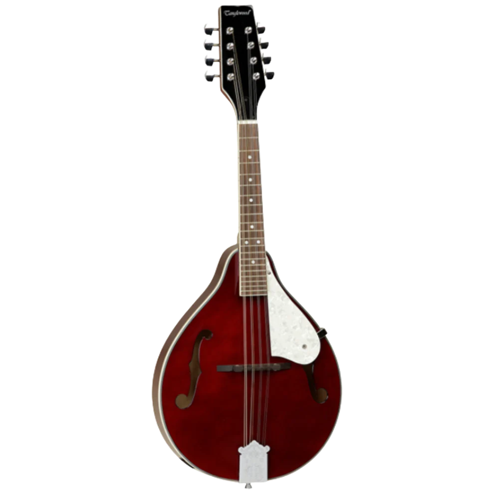 Tanglewood TWM-T-WR Mandolin