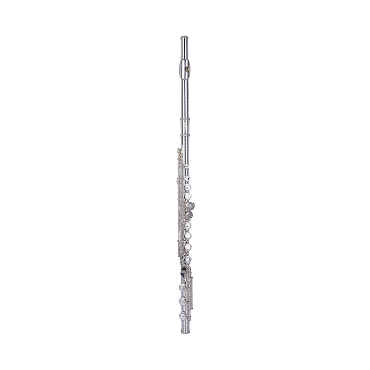 Wisemann DFL-600SSH Flute