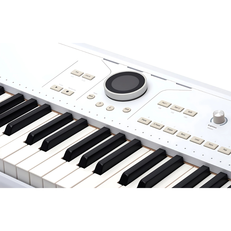 Arturia AstroLab 61 Avant-Garde Stage Keyboard, White