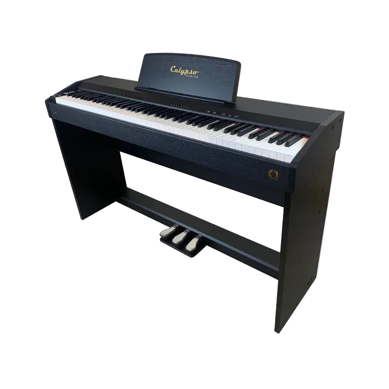 Calypso DP4 Electric Piano