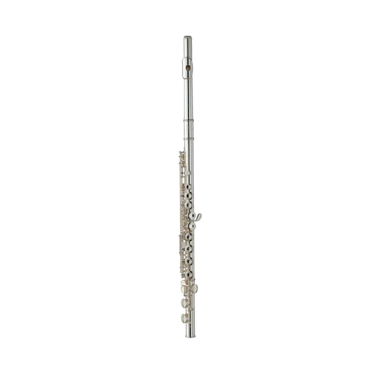 Wisemann WI-0901FL Taurus Flute Kit