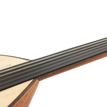 Essential Walnut 2 Oud