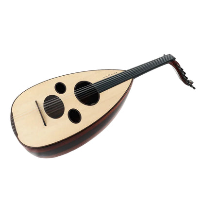 Traditional stringed instrument on a white background