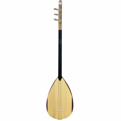 Two stringed instruments with a carrying case on a white background
