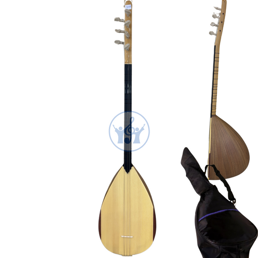 Two stringed instruments with a carrying case on a white background
