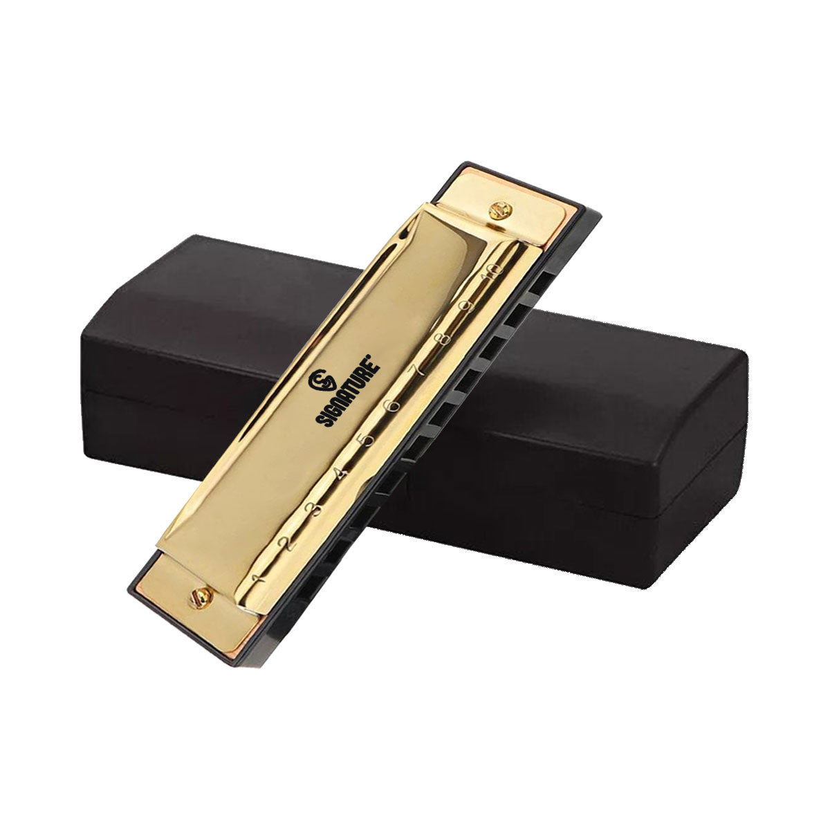 Signature HARSS10H 10-Hole Stainless Steel Harmonica