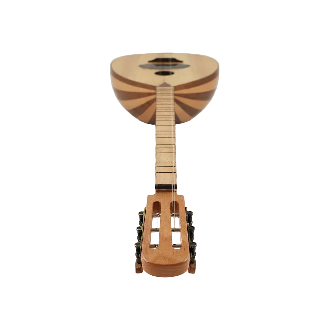 Wooden lute instrument on a white background