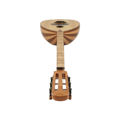 Wooden lute instrument on a white background