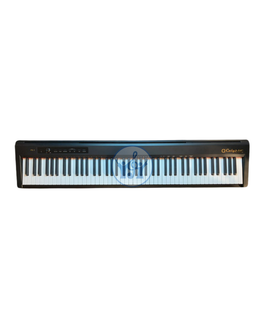 Calypso PK1 Digital Piano