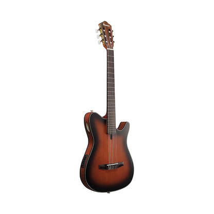 Ibanez FRH10N Nylon String Electro-Classic Guitar – Brown Sunburst Flat