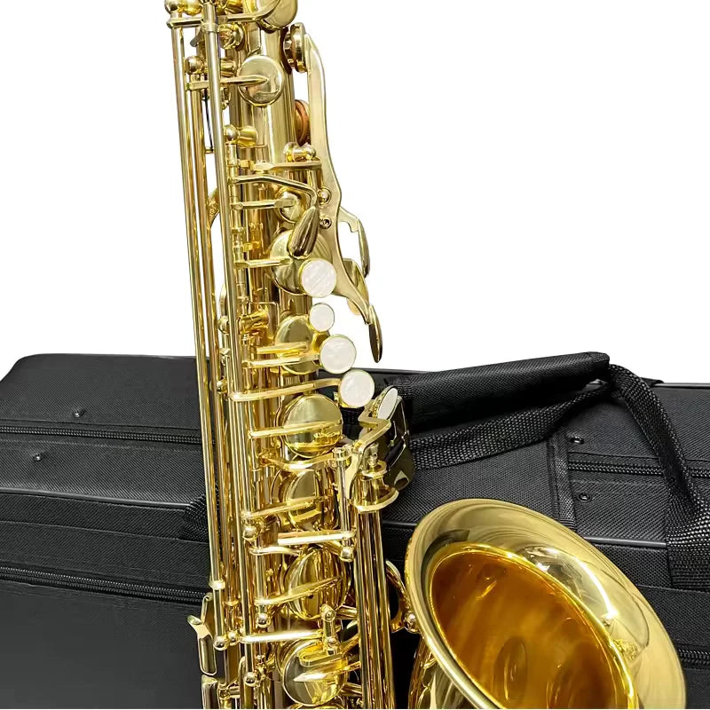 Aiersi AS-201 Alto Saxophone