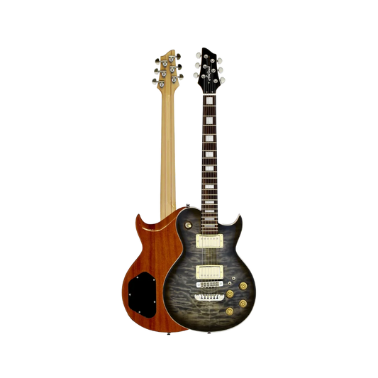 Aria PE-480 Les-Paul Style Electric Guitar