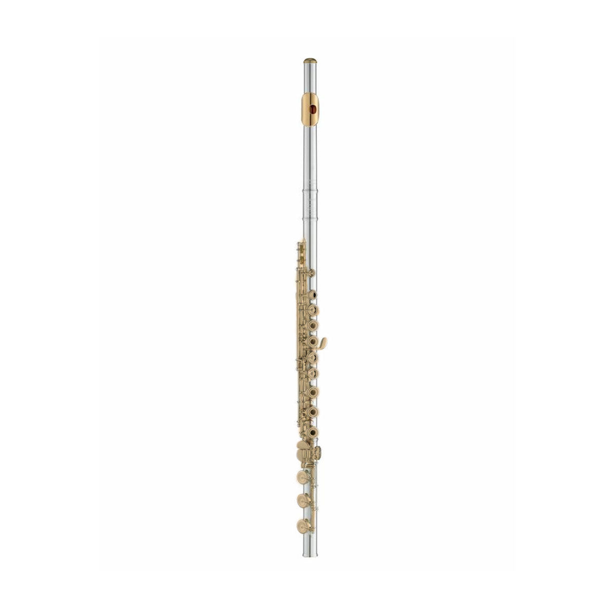Wisemann DFL-600SSG Flute