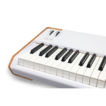 Arturia AstroLab 88 Avant-Garde Stage Keyboard, White