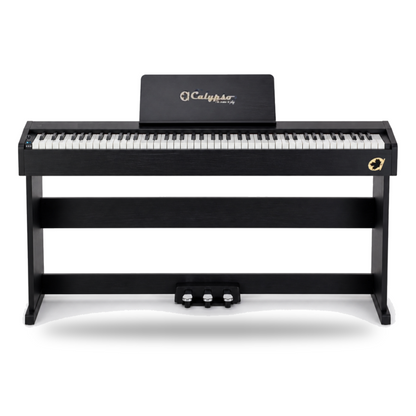 Calypso DP-1 Digital Piano (Multiple Colors Availble)
