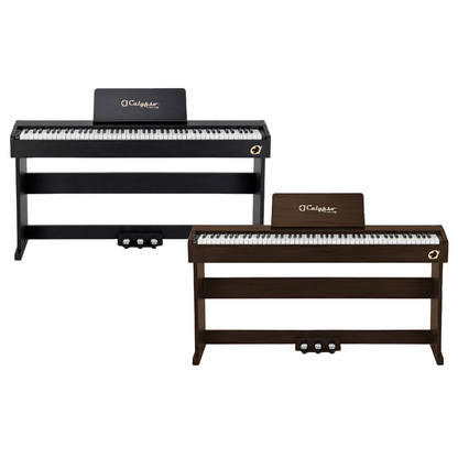 Calypso DP-1 Digital Piano (Multiple Colors Availble)