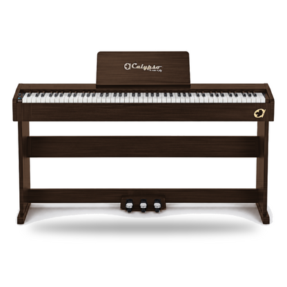 Calypso DP-1 Digital Piano (Multiple Colors Availble)