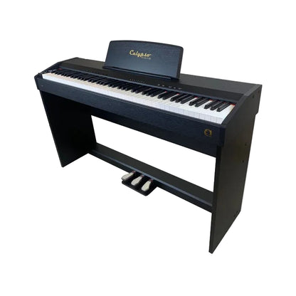 Calypso DP4 Electric Piano