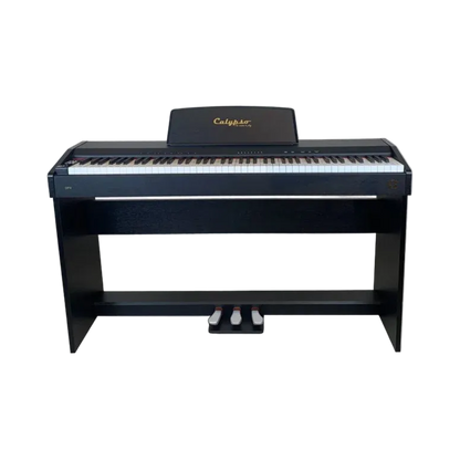 Calypso DP4 Electric Piano