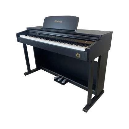 Calypso DP71 Electric Piano