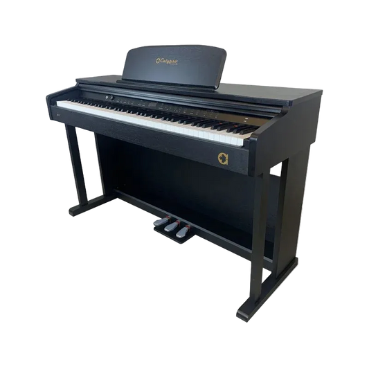Calypso DP71 Electric Piano