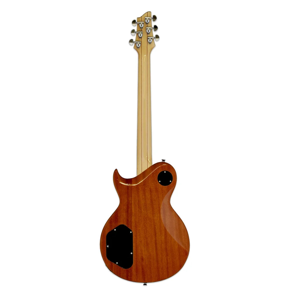 Aria PE-480 Les-Paul Style Electric Guitar