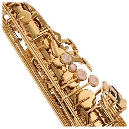Professional Alto Saxophone – Gold Lacquer Finish