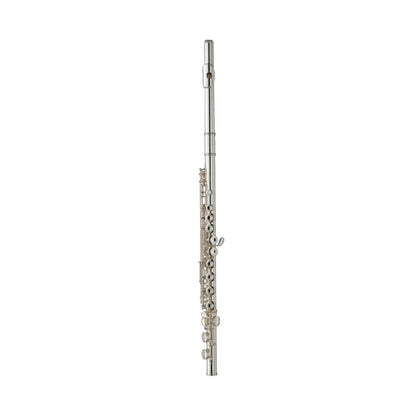 Wisemann WI-0901FL Taurus Flute Kit